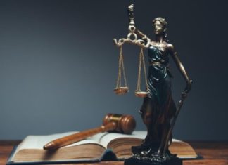 הבטחת היציבות הכלכלית של הילדים